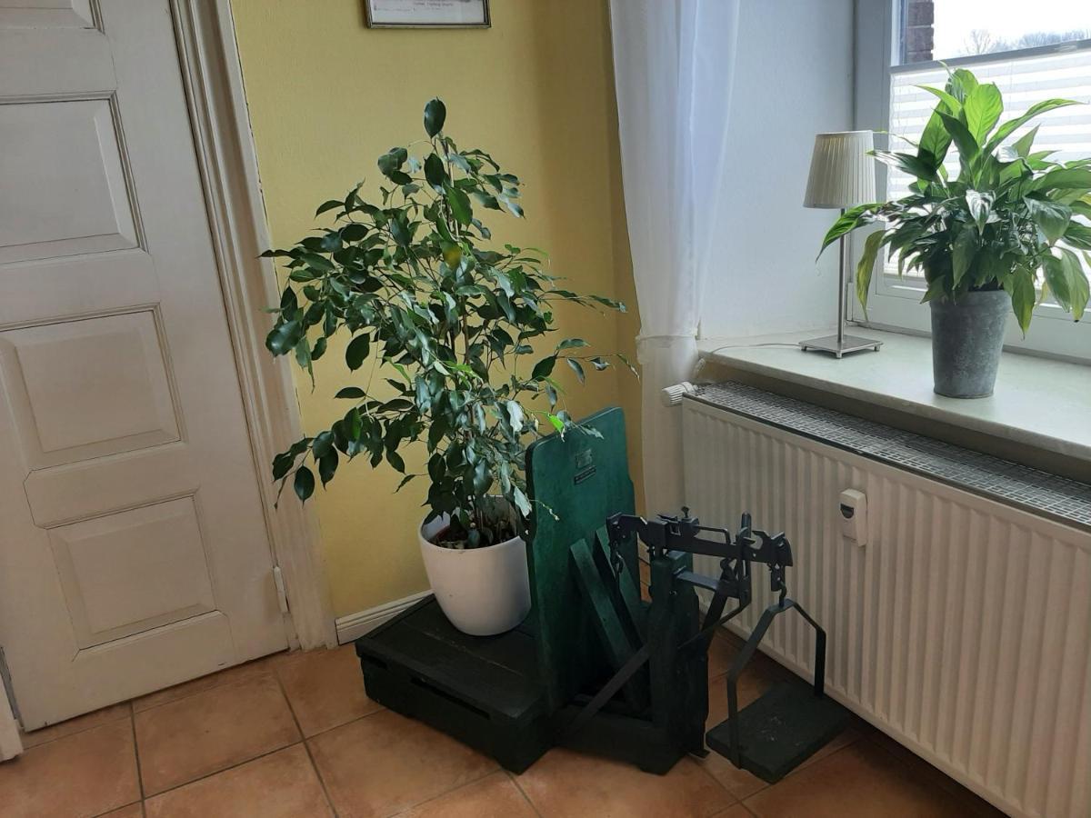 Schoene Ferienwohnung Im Alten Gasthaus In Stoltebuell Eksteriør bilde
